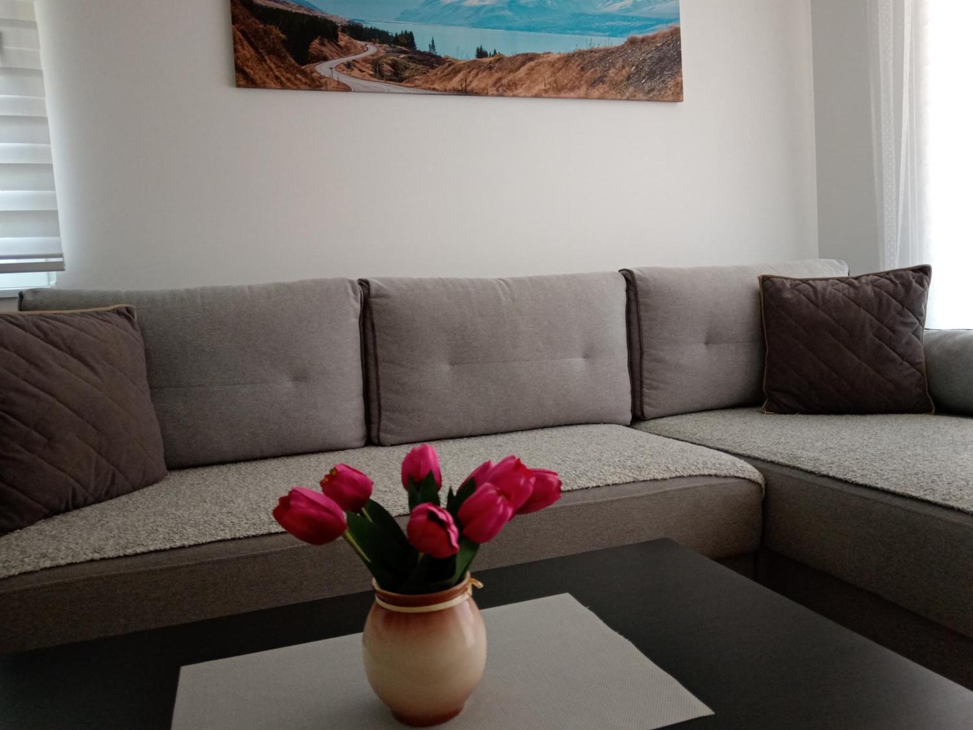 Mk Zlatibor Apartment Luaran gambar